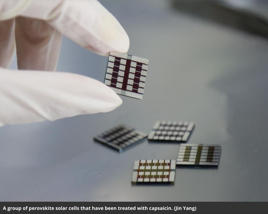 The future of solar is... spicy?
