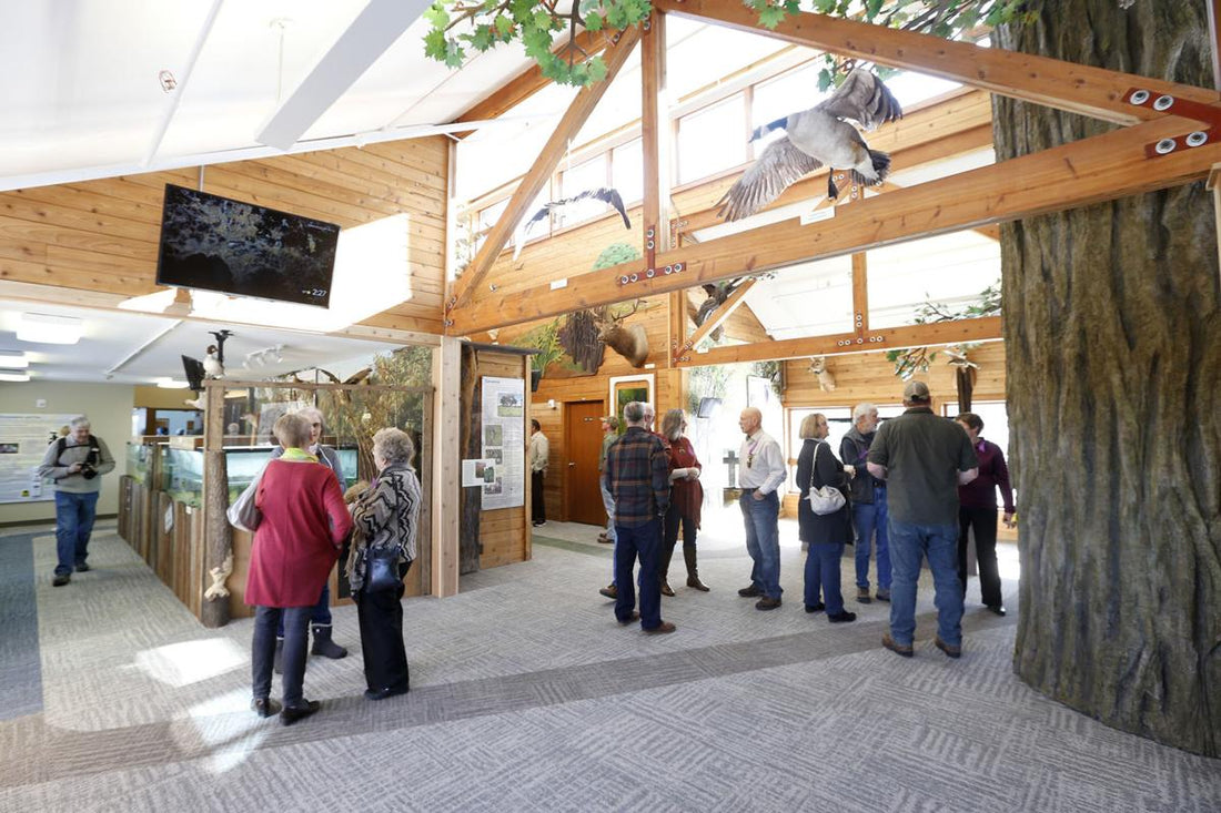 Case Study: Solar Turtle
