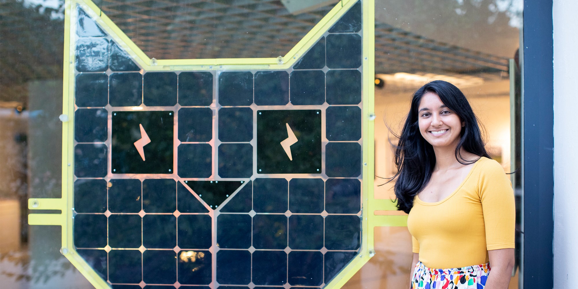 Solor Cat Introducing Solar Cat: The Cutest Solar Panel Ever Made – Grouphug