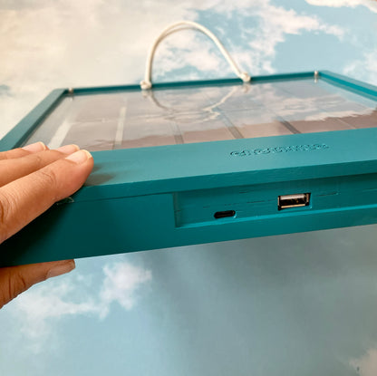 Limited Edition Color - Forest Fuse