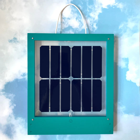 Limited Edition Color - Forest Fuse