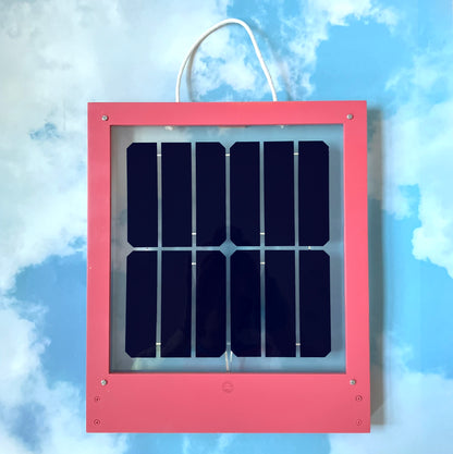 Limited Edition Color - Radiant Rose